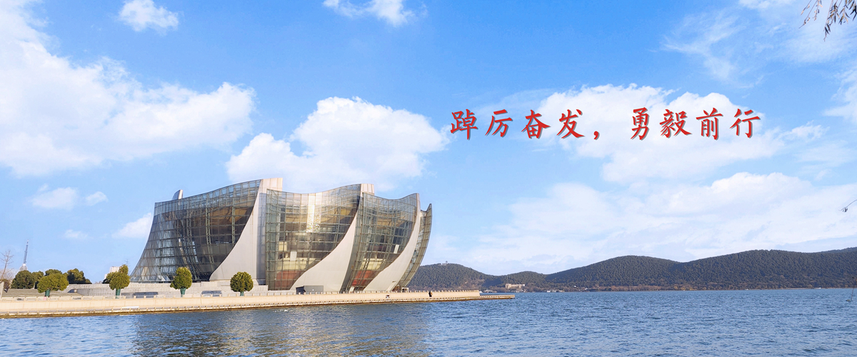 踔厉奋发，勇毅前行